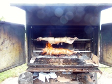 Pig and lamb on a spit! A Croatian specialty that we didn't get to try!