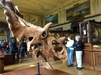 Inside the natural history museum in Prague